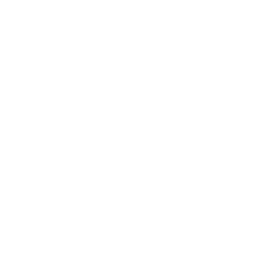 logo-storemet1-white